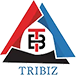 Tribiz International
