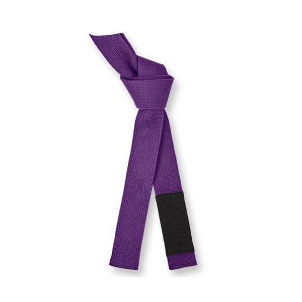 Martial Arts Belt