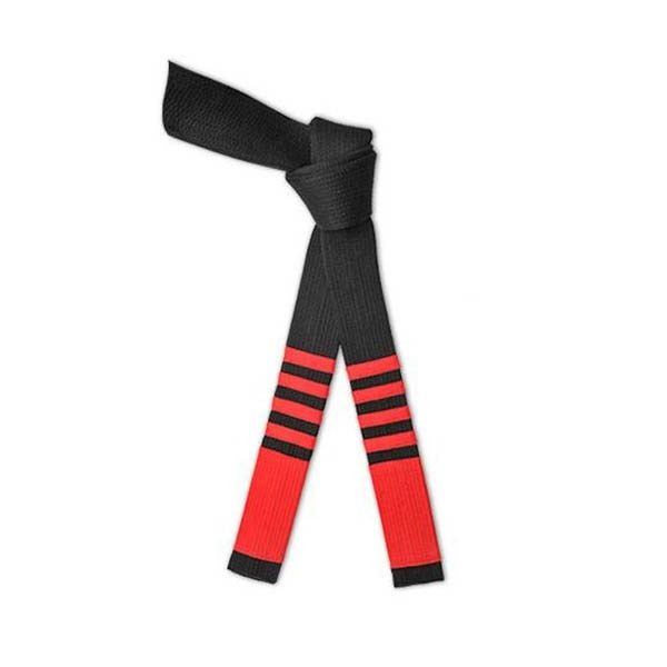 Martial Arts Belt