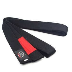 Martial arts belts