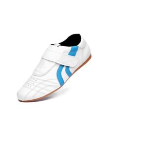 taekwondo shoes
